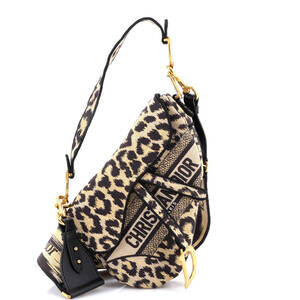 Christian Dior Medium Saddle Handbag Mizza Embroidered Canvas